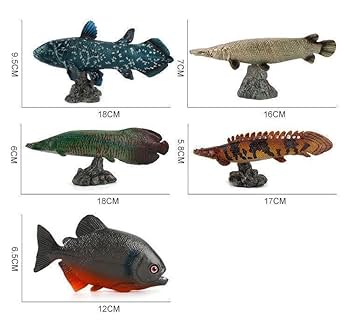 Amazon.co.jp: [猫神山] ラティメリア シーラカンス 海のサカナ